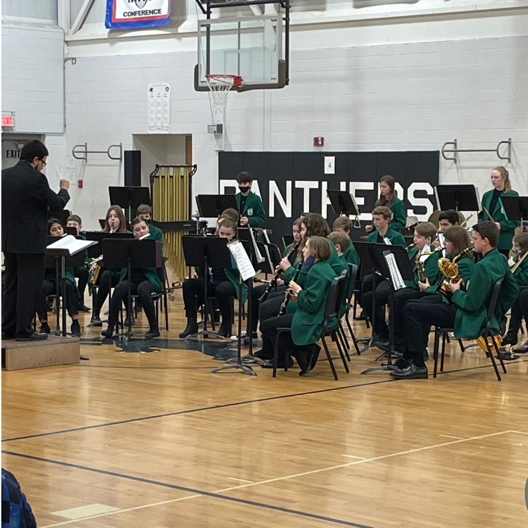 PG46 advanced band