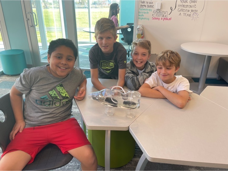 STEM Challenge: Build self-sustained hydroponic garden systems